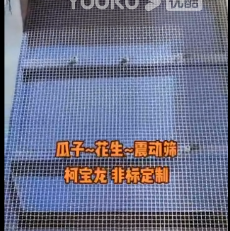 瓜子、花生、振動(dòng)篩，柯寶龍 — 非標(biāo)定制