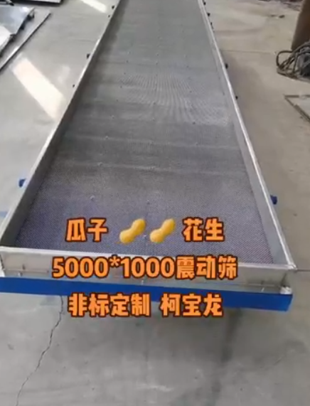 瓜子、花生5000*1000振動篩，非標定制