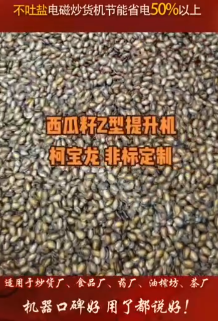 西瓜籽Z型提升機(jī)，非標(biāo)定制