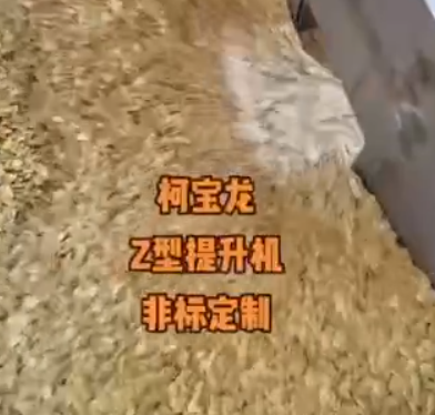 專業(yè)電磁炒貨機，Z型提升機，現場炒南瓜子，非標定制