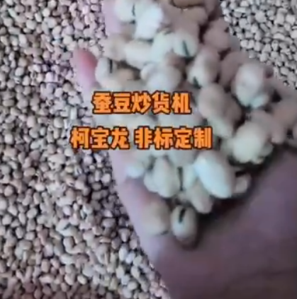 蠶豆炒貨機(jī)，非標(biāo)定制