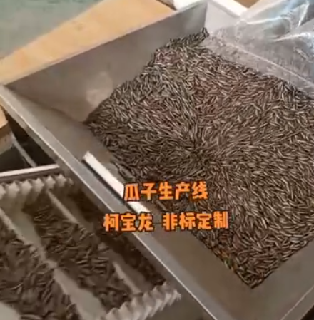 瓜子生產(chǎn)線，源頭廠家非標(biāo)定制