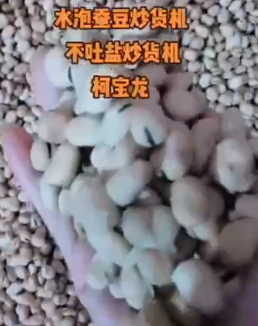 水泡蠶豆炒貨機(jī)，不吐鹽炒貨機(jī)，自動(dòng)出料，每鍋品質(zhì)相同，色澤一致！