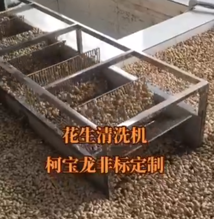 花生清洗機(jī)，可非標(biāo)定制