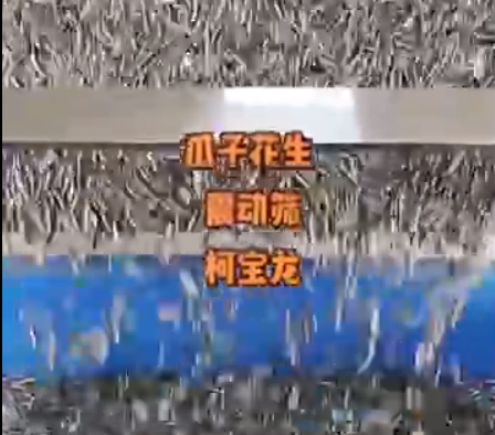 瓜子花生振動(dòng)篩，非標(biāo)定制