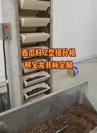 西瓜籽Z型提升機