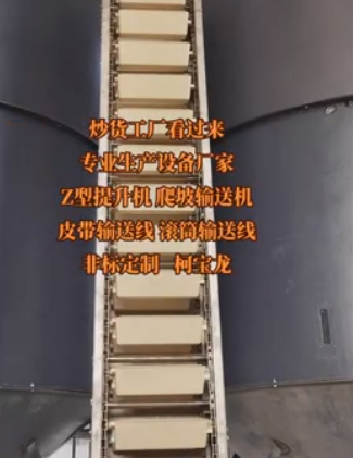 炒貨工廠看過(guò)來(lái)，專業(yè)設(shè)備生產(chǎn)廠家，非標(biāo)定制