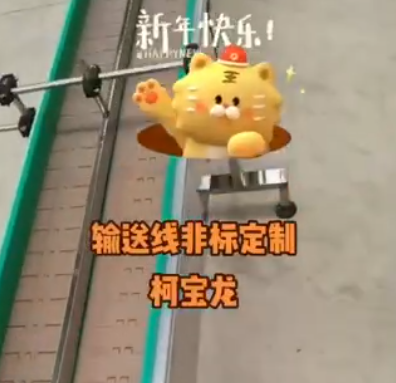 炒貨機輸送線，非標(biāo)定制