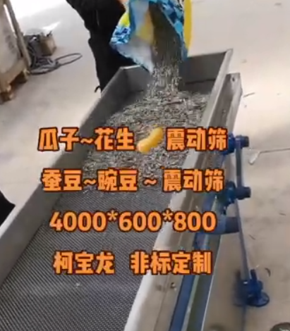 瓜子、花生、蠶豆、豌豆振動(dòng)篩，4000*600*800，工廠實(shí)拍，非標(biāo)定制